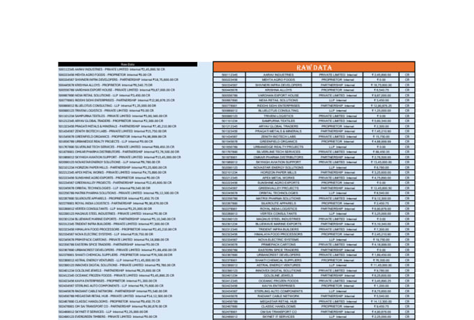 clean format  organize and fix your excel spredsheet professionally